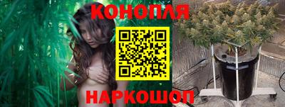 мяу мяу мука Усть-Илимск