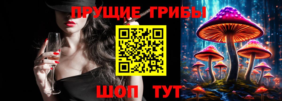 Псилоцибиновые грибы прущие грибы  Вход с VPN  Асино  Галлюциногенные грибы Psilocybe 